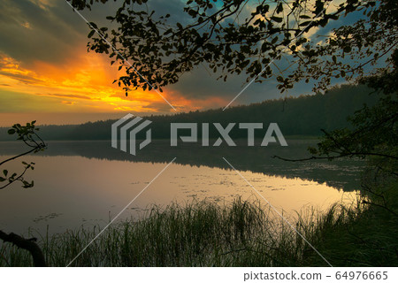 .Summer dawn at the lake 64976665