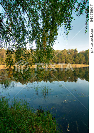 .Landscape with a forest lake in summer .Landscape with a forest lake in summer 64976667