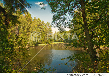 .Mid-forest lake in summer .Mid-forest lake in summer 64976705