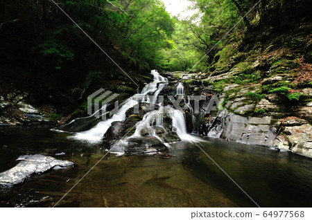 Senninba Ninotaki 64977568