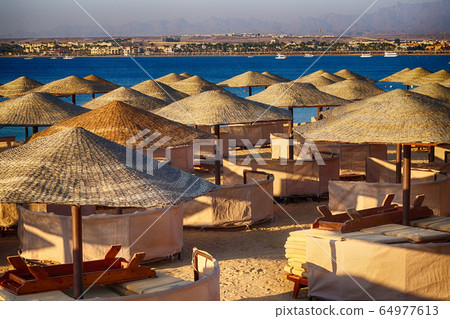 beach in the egypt 64977613