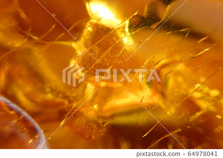 yellow amber texture 64978041