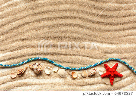 Beautiful seashells on sand and warm sun light 64978557