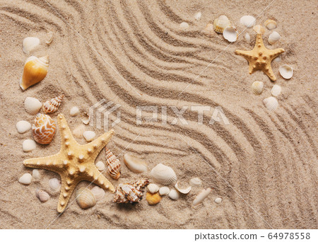 Beautiful seashells on sand with space for product 64978558