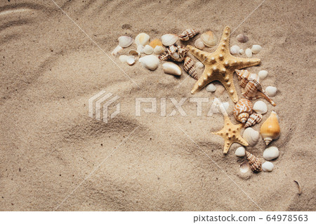 Summer beach. Sea sand with starfish and shells. 64978563