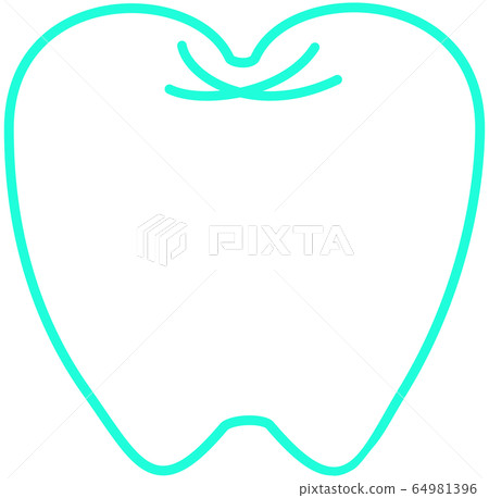 牙架綠色 64981396