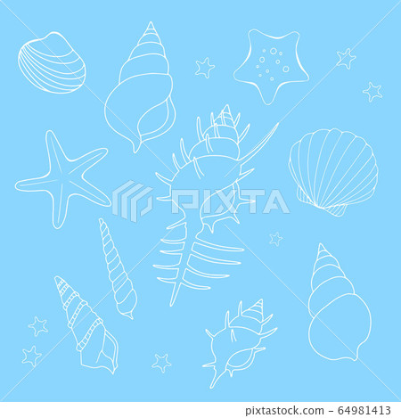 Illustration set of seashells white line, blue background Illustration set of seashells white line, blue background 64981413