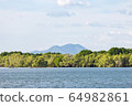 Mangrove forest, view from another side of river. 64982861