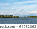 Mangrove forest, view from another side of river. 64982862