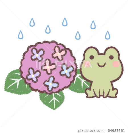 青蛙和繡球花和雨 64983361
