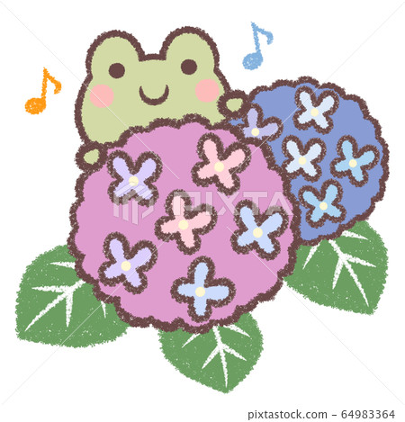 Frog and hydrangea song Frog and hydrangea song 64983364
