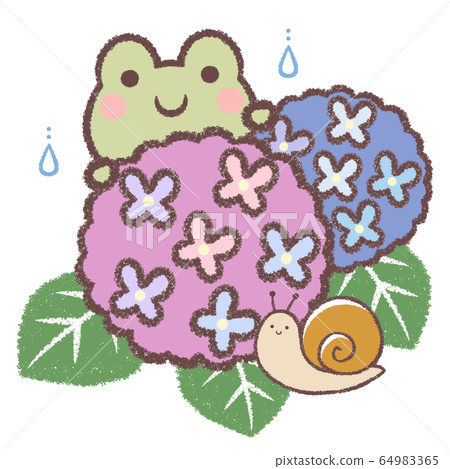 青蛙和繡球花和蝸牛 青蛙和繡球花和蝸牛 64983365