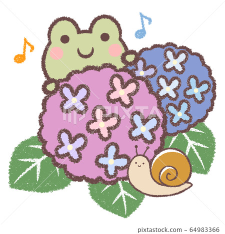 Frog and hydrangea and snail song 64983366