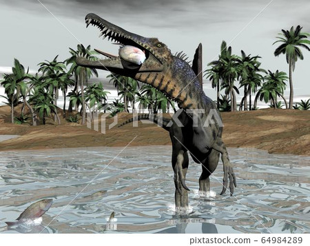 Spinosaurus dinosaur eating fish - 3D render Spinosaurus dinosaur eating fish - 3D render 64984289