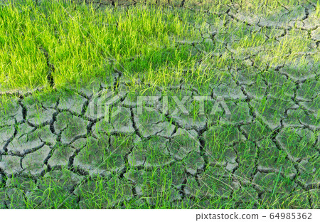dry, drought, cracked 64985362