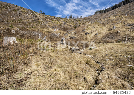 Demanovska valley in Low Tatras mountains, Demanovska valley in Low Tatras mountains, 64985423