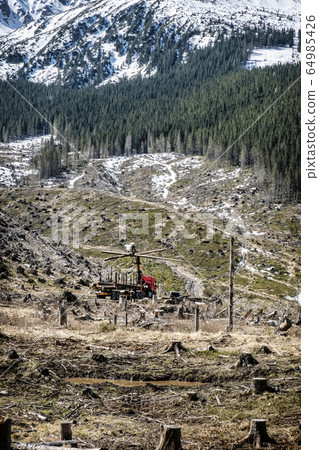 Calamity logging in Demanovska valley, Low Tatras, Calamity logging in Demanovska valley, Low Tatras, 64985426