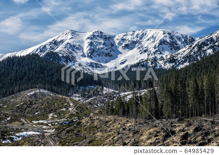 Demanovska valley in Low Tatras mountains, Demanovska valley in Low Tatras mountains, 64985429