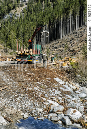 Calamity logging in Demanovska valley, Low Tatras, Calamity logging in Demanovska valley, Low Tatras, 64985432