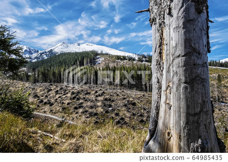 Chopok peak in Low Tatras mountains, Slovakia, Chopok peak in Low Tatras mountains, Slovakia, 64985435