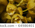 Yellow flower 64986401