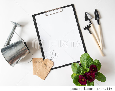 Clipboard and paper for text, burgundy primrose flower, garden tools and seeds in paper bags  64987116