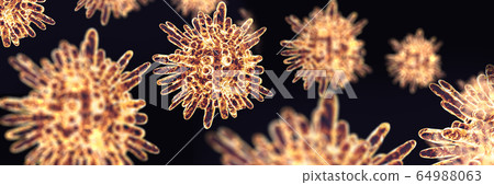 Coronavirus COVID-19 64988063