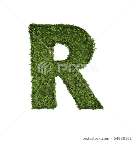 Ivy plant with leaves, green creeper bush and Ivy plant with leaves, green creeper bush and 64988191