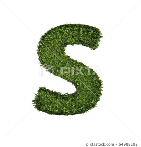 Ivy plant with leaves, green creeper bush and 64988192