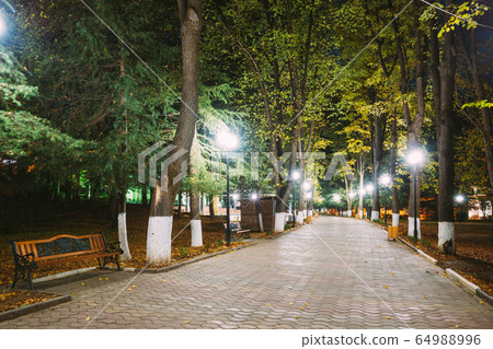 Borjomi, Georgia. City Park Merab Kostava's Garden In Night Illuminations Lights 64988996