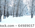 Winter park is covered with hoarfrost. Snow winter pattern. Christmas background forest landscape. White background. Autumn winter. City landscape. Christmas seasonal plant. 64989037