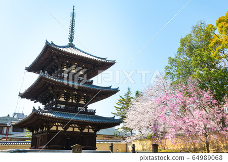 Kofukuji Mie Tower and Sakura Haru (Nara City, Nara Prefecture) 64989068