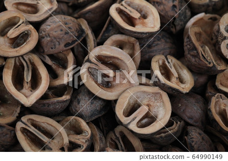 Walnut Walnut 64990149