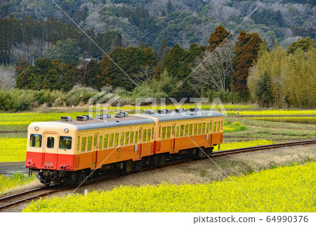沿著小島鐵路春天的旅行 沿著小島鐵路春天的旅行 64990376