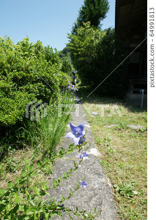 夏季岩見銀山的四季漫步 64991813