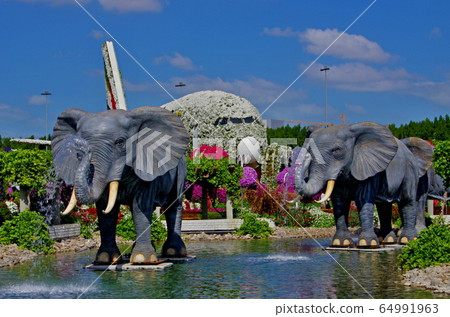 Dubai landscape 64991963