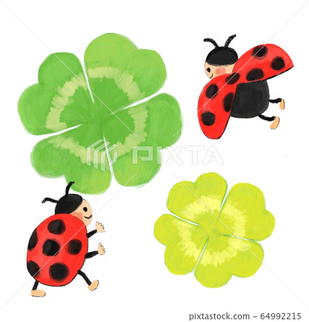 Clover and two ladybugs Clover and two ladybugs 64992215