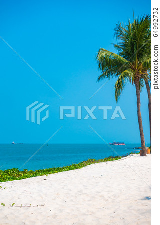 Beautiful tropical nature of beach sea ocean bay around coconut palm tree 64992732