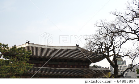 Spring changdeokgung Spring changdeokgung 64993994