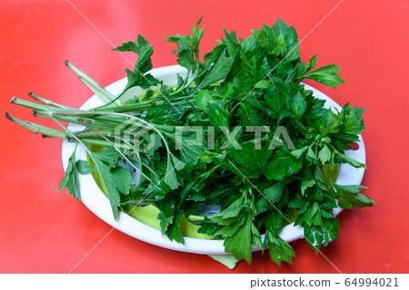 Jing Chu Chai , celery Chinese herb to protect from cancer 64994021