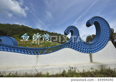 野百合花,花卉,白沙灣,建設 64994040