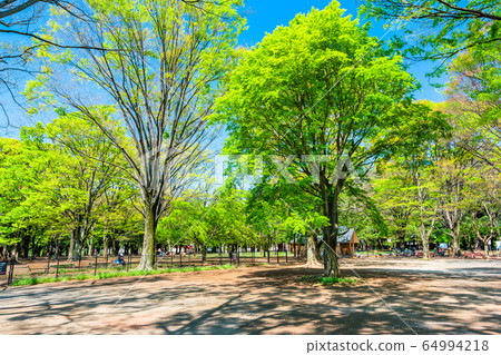 代代木公園在東京春天 64994218