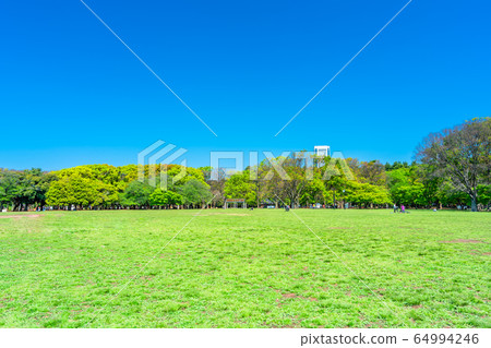 代代木公園在東京春天 64994246