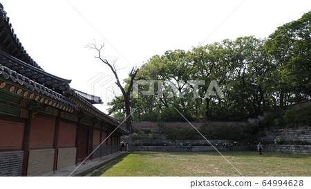 Spring changdeokgung 64994628