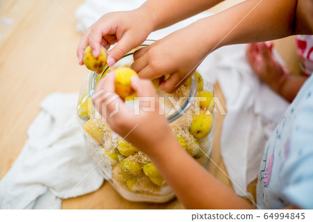Summer plum work image for children Summer plum work image for children 64994845