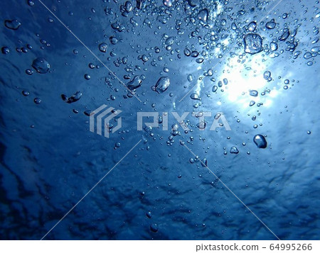 海2 海2 64995266
