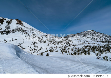 [Aomori Prefecture Hakkoda Mountain] Spring Hakkoda snow scene 64995393