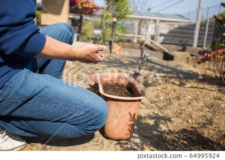 園藝 64995924