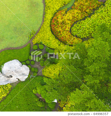 Aerial view of Beautiful green garden Aerial view of Beautiful green garden 64996357