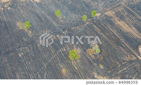 Aerial view over burning rice field after Aerial view over burning rice field after 64996359